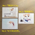 作品猫 ポストカード 3枚セット