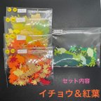 作品【051】秋素材大量!! クラフトパンチ 紅葉＆イチョウ 大小700枚