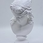作品石膏像　デッサン　アリアス　ホワイト　インテリア　彫刻　置物　レジン