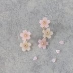作品揺れる桜のピアス／イヤリング