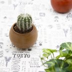 作品くりくりミニプランター「Plant Pots Mini」☆多肉植物・サボテン・かわいい☆