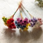 作品９色のスターフラワーブロッサム　小さな花束　tinyBouquet