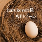 作品 harukoyori様専用ページ