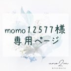 作品momo12577様 専用ページ オーダーマルチケース Sサイズ 1点