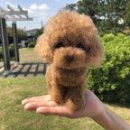 作品愛犬ちゃんのそっくりなリアルなペット人形をお作りします！　羊毛フェルト　犬　オーダー　ぬいぐるみ　愛犬　　ペット　リアル　人形