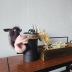 作品小物スタンド　土管からニュッと動物(馬)