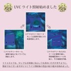 作品syada  ーお知らせー　UVCライト照射後の発送始めました！