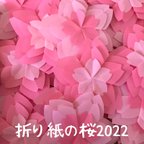 作品折り紙の桜　2022