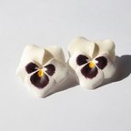 作品Twin×pansy mini ear accessory【white】