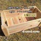 作品100%天然オーガニックウッドプランター L〈3個セット〉