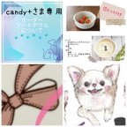 作品candy+さま専用*オーダー製作＊チワワ*とってつき*リボン*ポーセラーツ＊フードボウル＊愛犬に＊プレゼントに