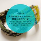 作品✳︎しあわせカチューシャ®︎専用の修理の為のページ✳︎