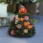 作品森のミニハロウィンツリー☆深みのあるグリーンのヒムロスギにかぼちゃを飾り付け森のハロウィンをお届けします