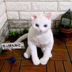 作品【きゃばんねこ】　白猫のすがたをしたリアルな実物大かばん　【ハ-3】