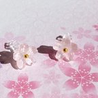 作品硝子桜の粒ピアス/イヤリング