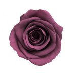 作品１輪　約3.5㎝　おすそ分け　ローズワイン　紫　バラ・薔薇 　プリザーブド　仕入れ時から細かいキズ、花びらやガクなどに切れ、折れなどがある物もございます。天然素材の特徴とどうぞご理解ください