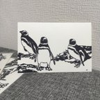 作品ペンギンの切り絵のポストカード