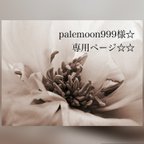 作品palemoon999さま☆専用ページ