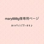 作品mary888g様専用ページ