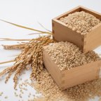 作品 令和3年度産玄米🌾長崎県認定特別栽培米ひのひかり2㎏🌾宮下さんちのおいしいお米