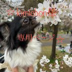 作品☆kimichon様専用ページ☆⭐︎犬服⭐︎浴衣 女の子用 市松と小花柄 パープル・ピンク