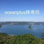 作品oceanplus様専用ページ