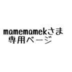 作品☆mamemamek様専用☆