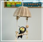 作品インコの雨やどり