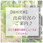 作品出荷・ご注文状況のご案内　10月11日更新　 !