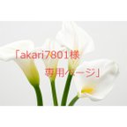 作品「akari7801」様専用ページ