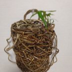 作品【結びの花器🌿】