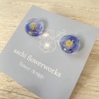 作品花びらを使ったピアス　オオイヌノフグリ　flowerpierce レジンアクセサリー