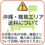 作品沖縄・離島エリアへの送料について