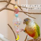 作品【鳥のおもちゃ〈小型・中型インコ向け〉】カラフルおやつカプセルのフォージングトイ