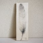 作品feather-1　（シナ合板）
