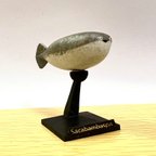 作品古代魚サカバンバスピス　スタンドフィギュア