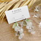 作品ジューシーラムネ 国産ぶどう クリアピアス/イヤリング  夏 上品