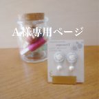 作品〜Ａ様専用ページ〜