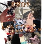 作品オーダーメイド【ふぐふぐブローチ】こさえます‼️ ㊗️猫びより5月号掲載㊗️