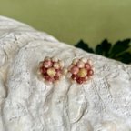 作品hawaii color kahelelani earrings 