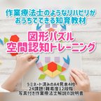 作品作業療法士の指先トレーニング　図形パズル　知育玩具