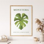 作品monstera | 爽やかなグリーンの植物ポスター