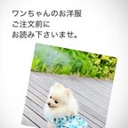 作品【必読】犬服 について大切なご案内です