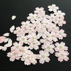 作品【限定再販】クラフトパンチ・桜と桜の花びら　計60枚　ピンクmix