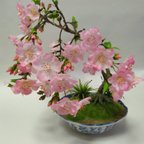 作品桜盆栽  枝垂れ桜をイメージして