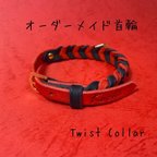 作品Koch/Twist Collar    犬猫用首輪　オーダーメイド