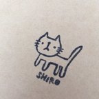 作品ねこはんこ シロネコ