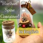 作品“Harihari” Spine Container!  