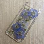 作品【ネモフィラ】押し花iphone5・5s・SEケース