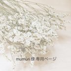 作品mumuri様 専用ページ